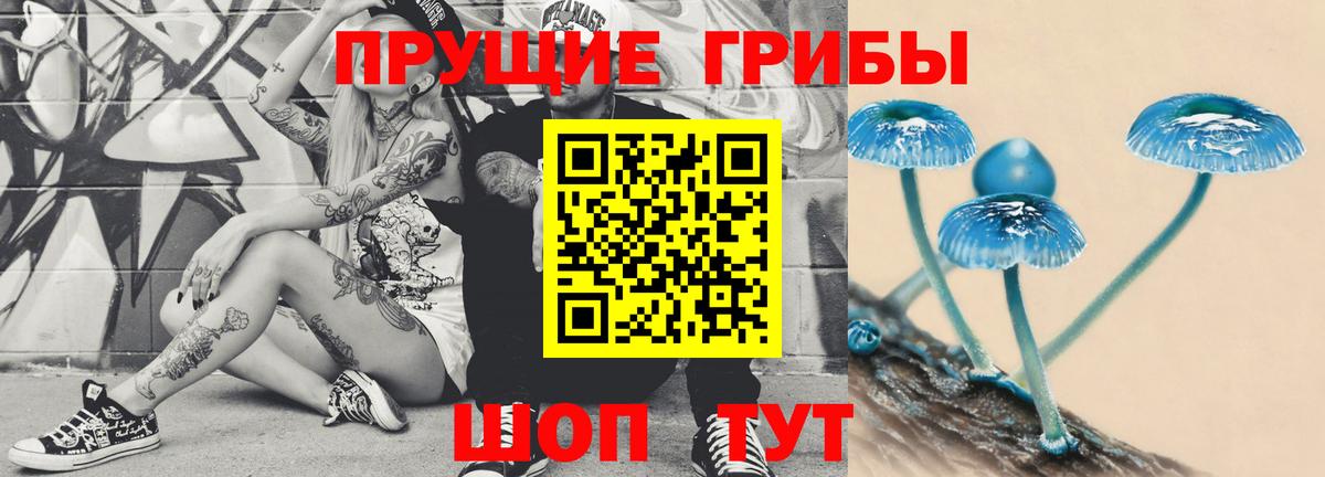 Псилоцибиновые грибы мицелий  Галлюциногенные грибы Psilocybe  Мелеуз  Вход с VPN 